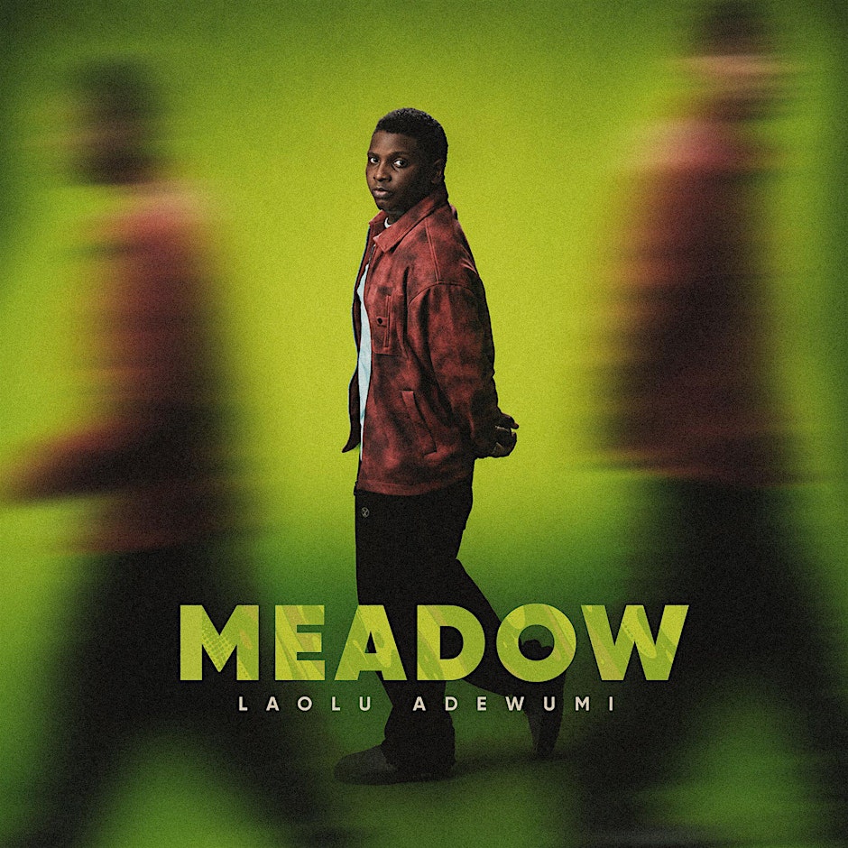 LAOLU ADEWUMI - MEADOW EP LISTENING PARTY
