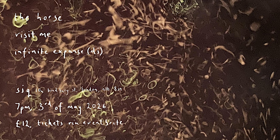 The Horse + Visit Me + Infinite Expanse (DJ)