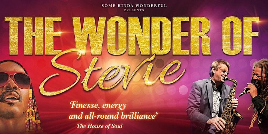 The Wonder of Stevie