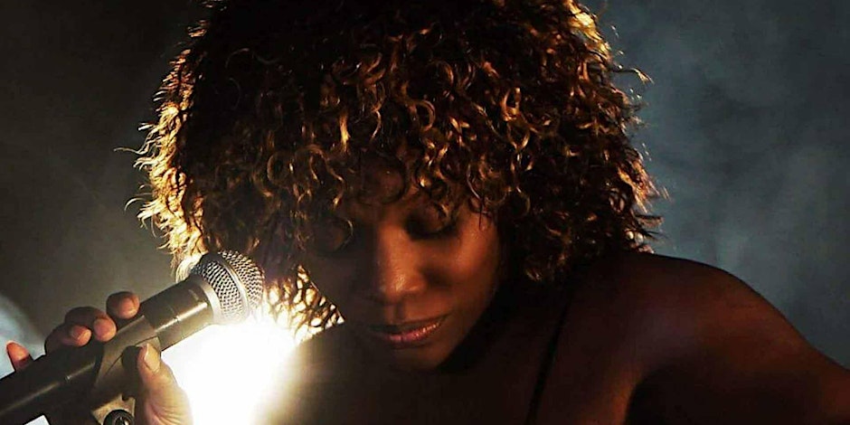 Tina  Turner Tribute Night - Aldridge, Walsall